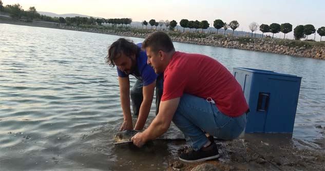 Yeniceköy göletine 290 Kg balık bırakıldı