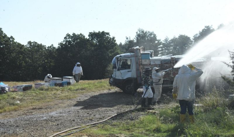 Arı yüklü kamyonun karıştığı kazada 4 kişi hayatını kaybetti