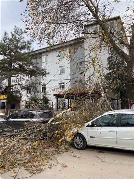 İnegöl Belediyesi’nde Lodos Mesaisi