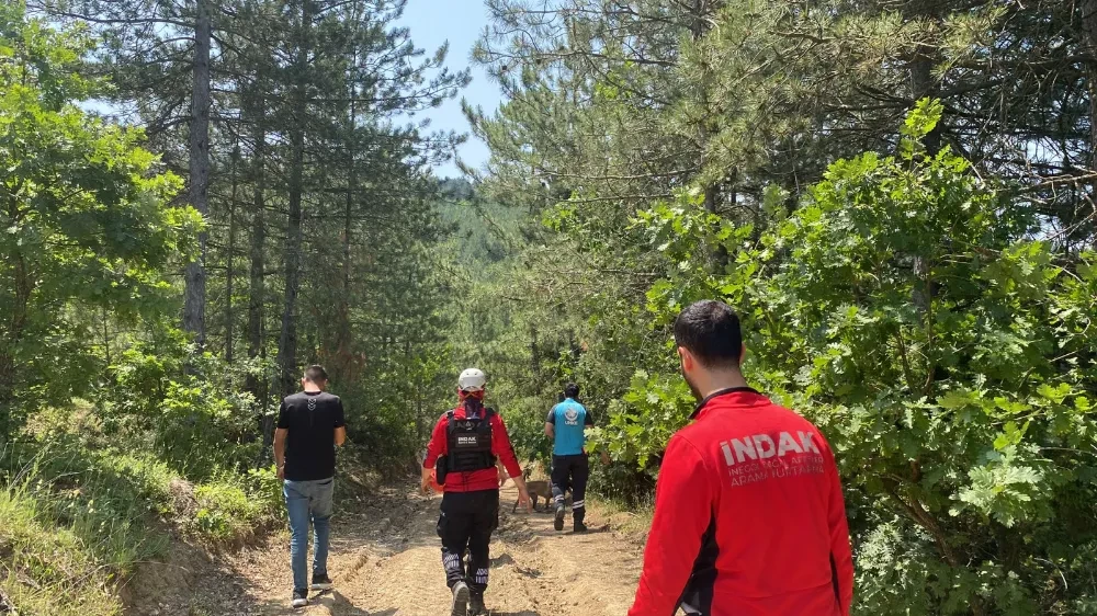 Bursa